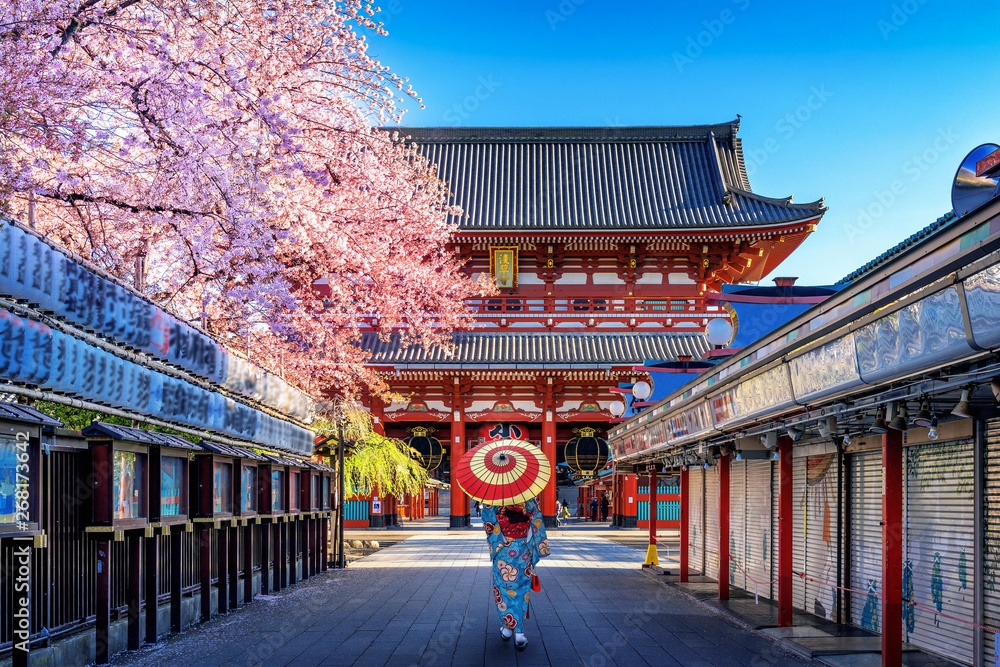 Professional environment and Japan career pathway